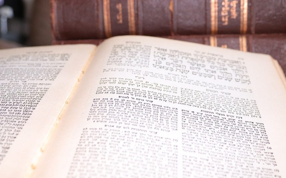 Crowns of Torah: Hasidic Insights  on the Weekly Torah Portion