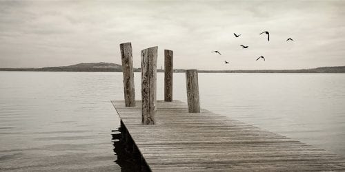 Live for Today, Repent for Tomorrow