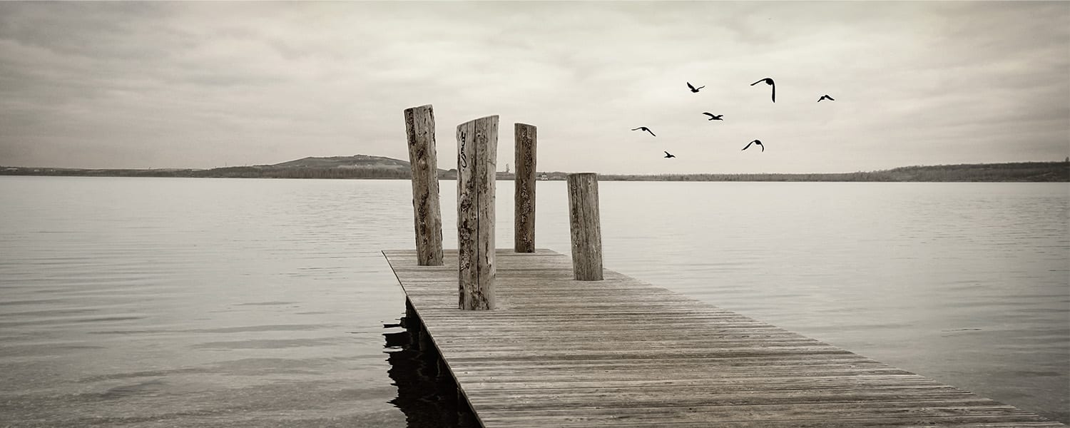 Live for Today, Repent for Tomorrow