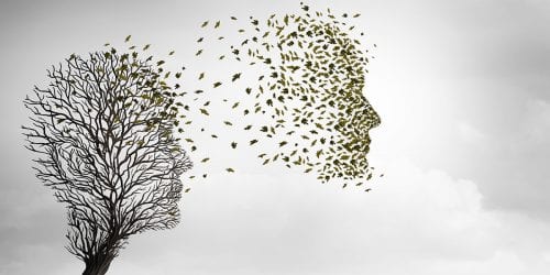 Conversations on the Wind