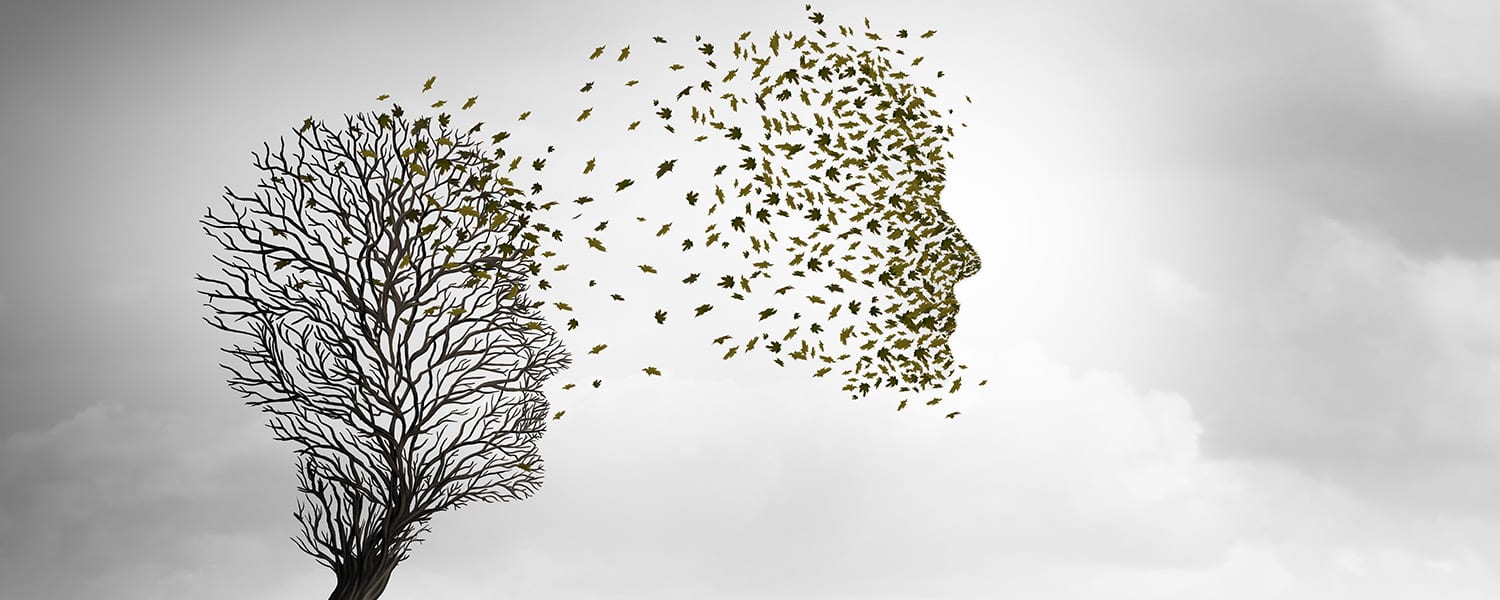 Conversations on the Wind