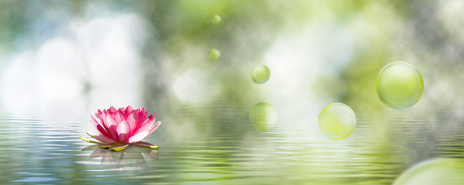 Textual Healing with Rabbi Rosenthal