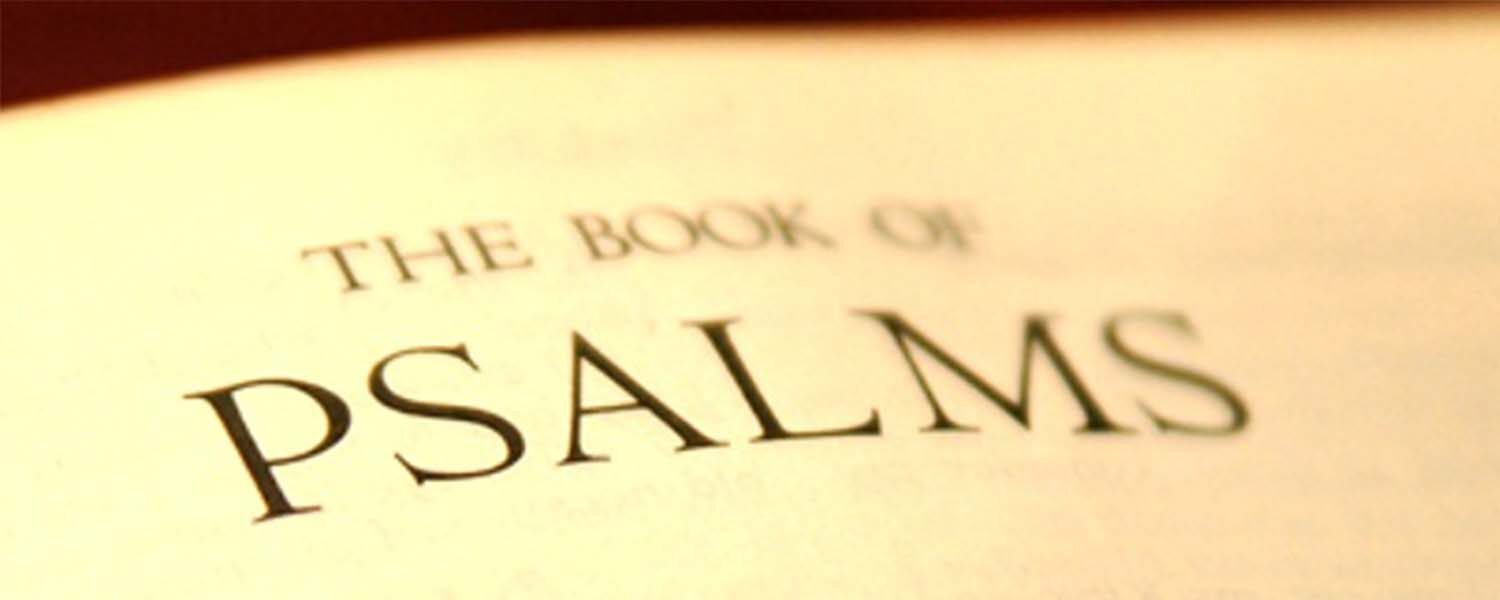 The Book of Psalms: King David's Struggles and Wisdom for Survival In a Post- COVID World.